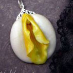 Butterfly- Genus Jeffrie, Vulva Necklace